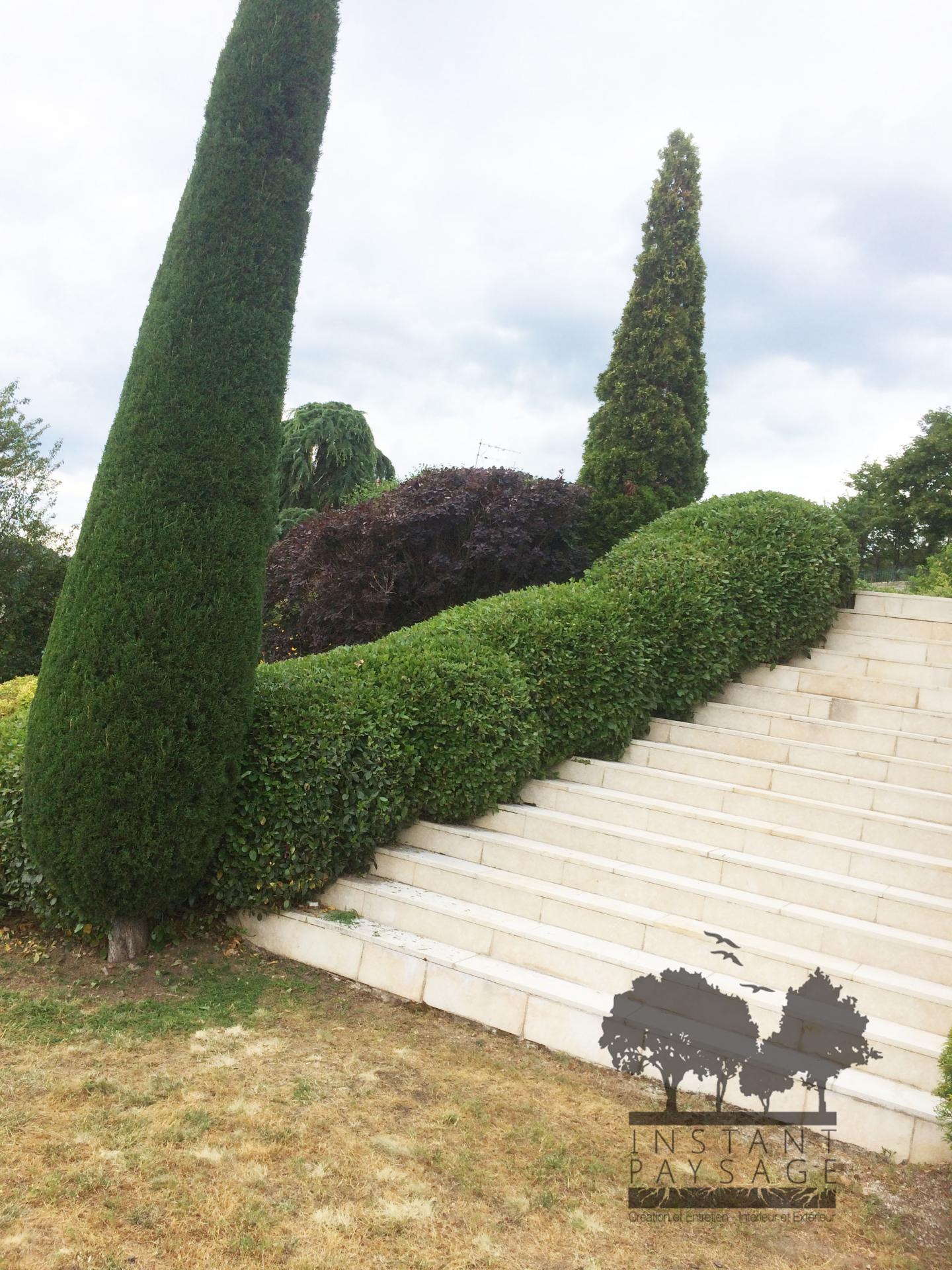 Taille Arbuste - ©Instant Paysage